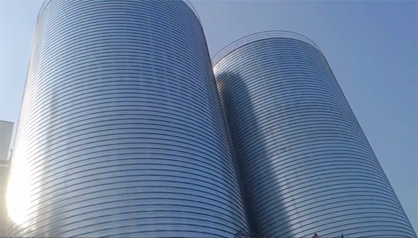 莆田2座混凝土高架卷板仓